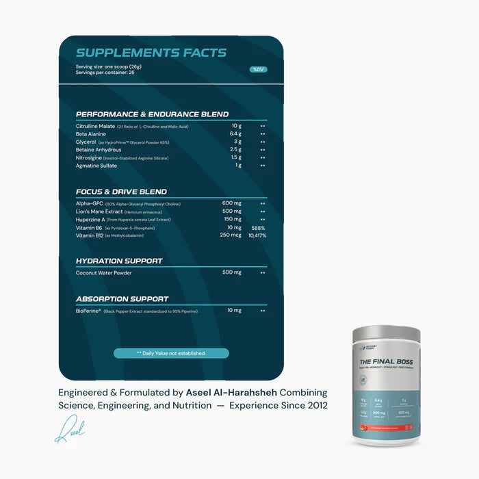 The Final Boss Night Pre-Workout 690g